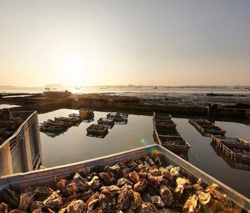 Villa Ker Goh Velin Saint-Gildas-de-Rhuys Esterno foto